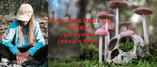 бошки Вязьма
