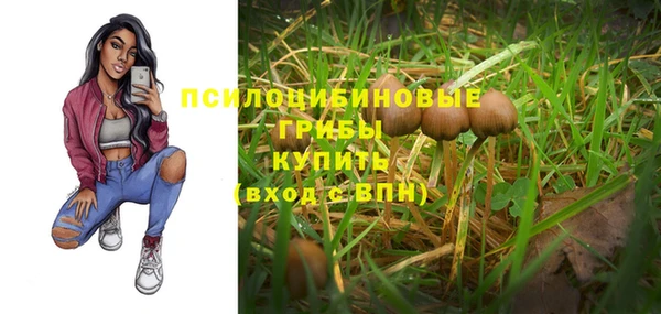 крисы Волоколамск