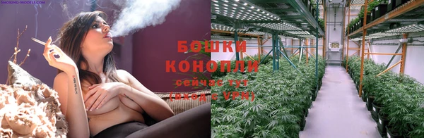 крисы Волоколамск