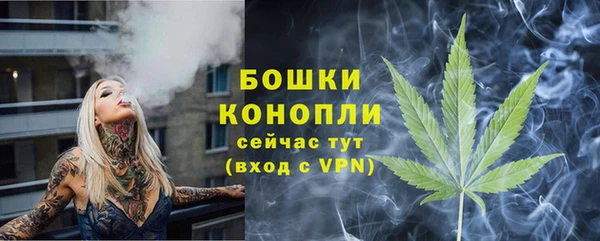 прущий лед Вяземский